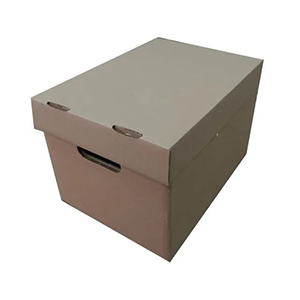 Caja de Archivo Reforzada