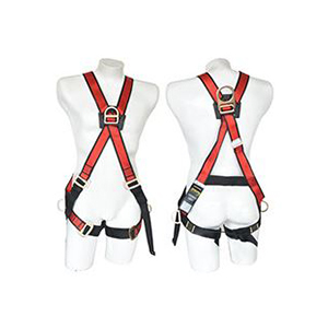 Arnés en X - 4 argollas